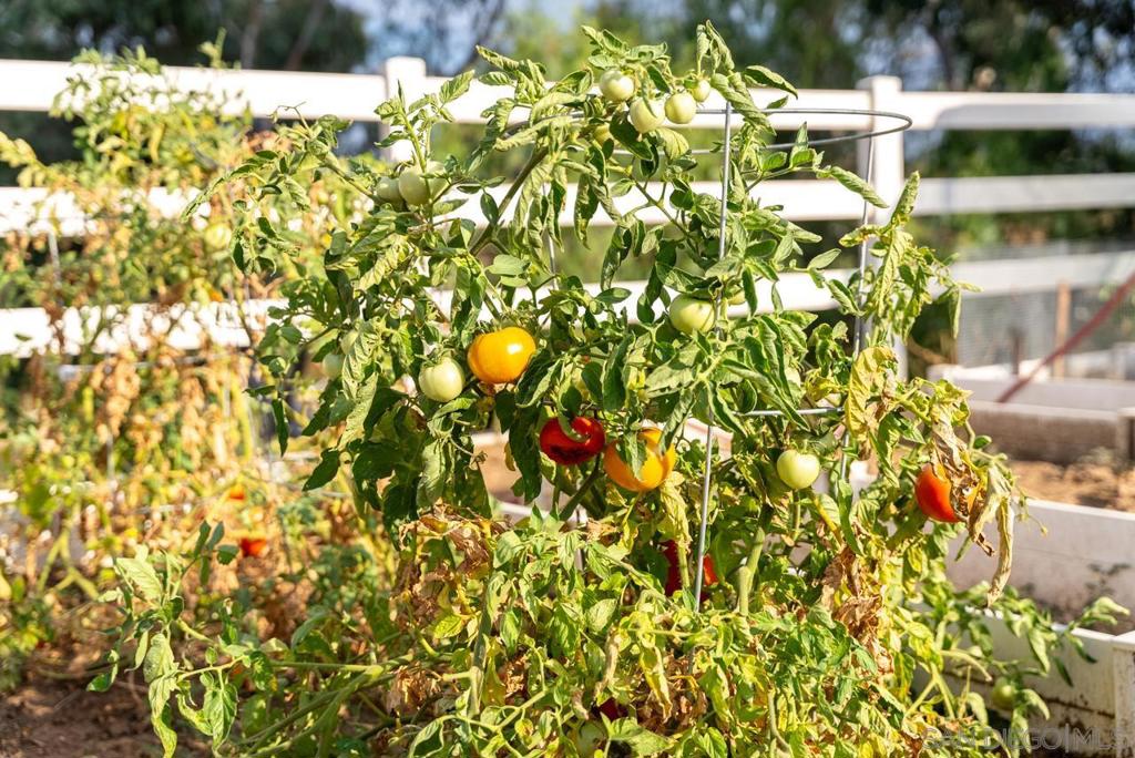 15091 Chemise Creek Rd