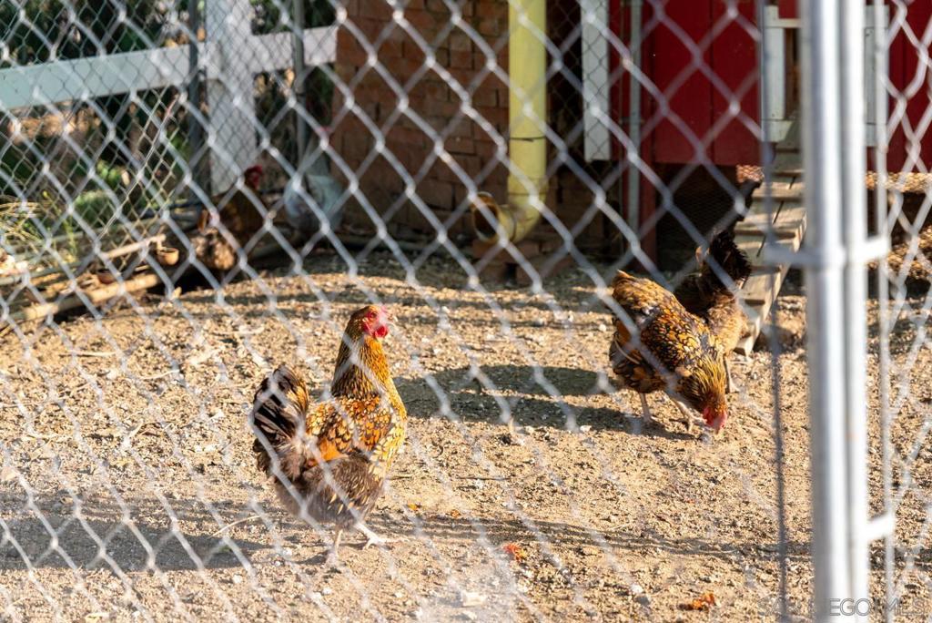 15091 Chemise Creek Rd