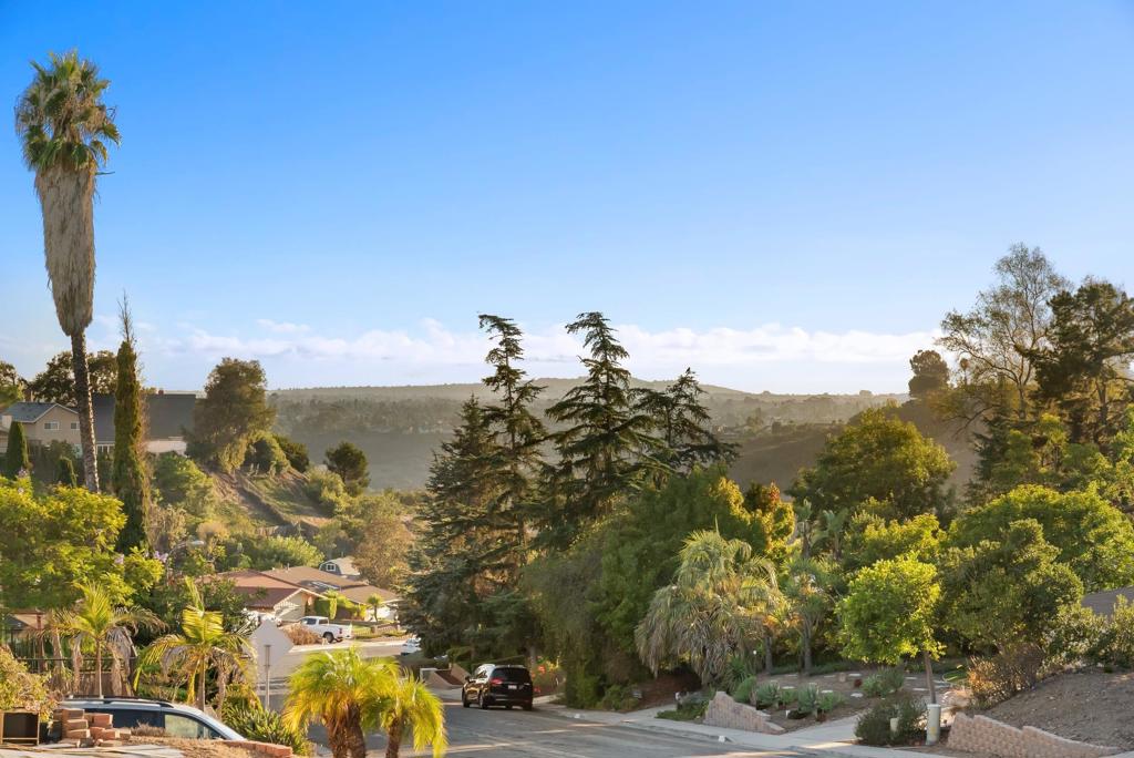 12979 Calle De Las Rosas