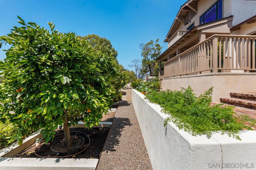 3929 Alameda