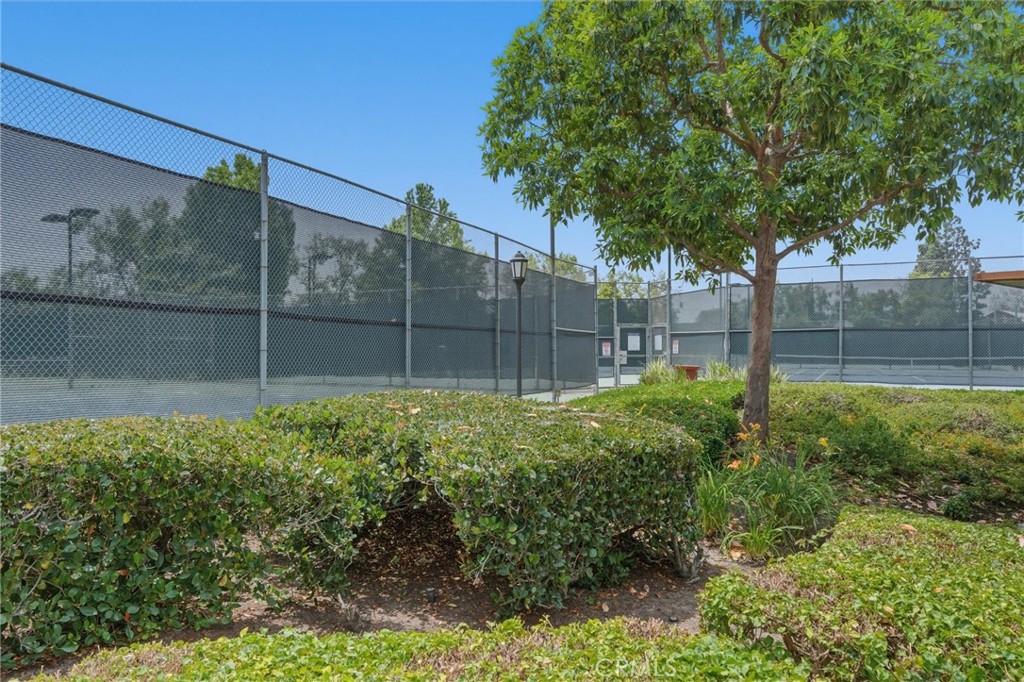 220 Lemon Grove