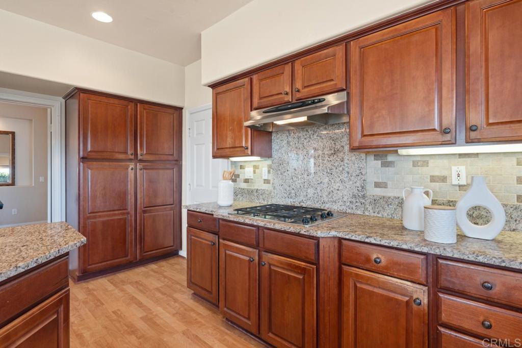 3353 Yerba Buena Drive