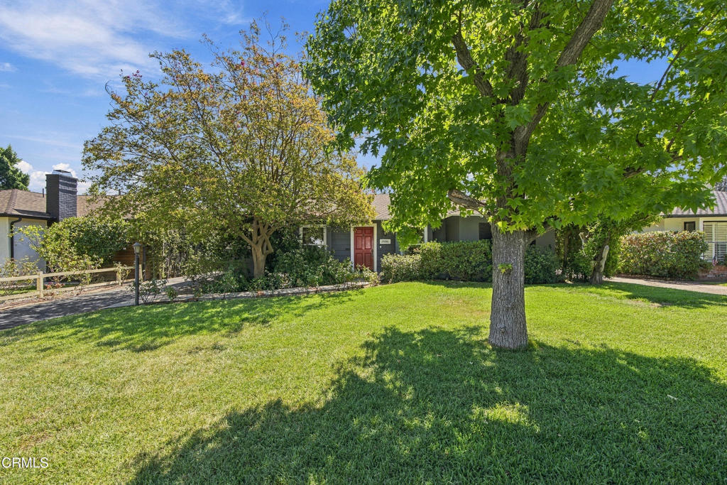 3586 Mountain View