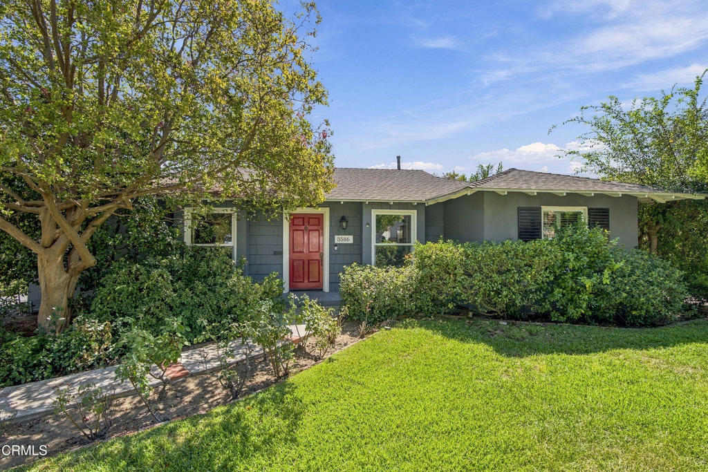 3586 Mountain View