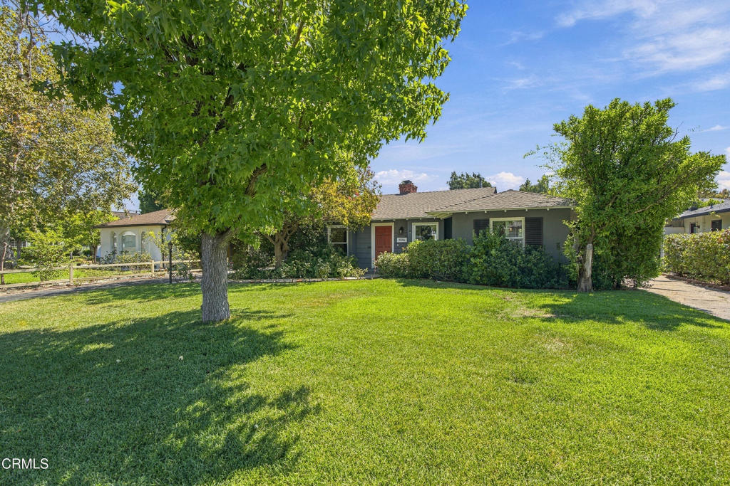 3586 Mountain View