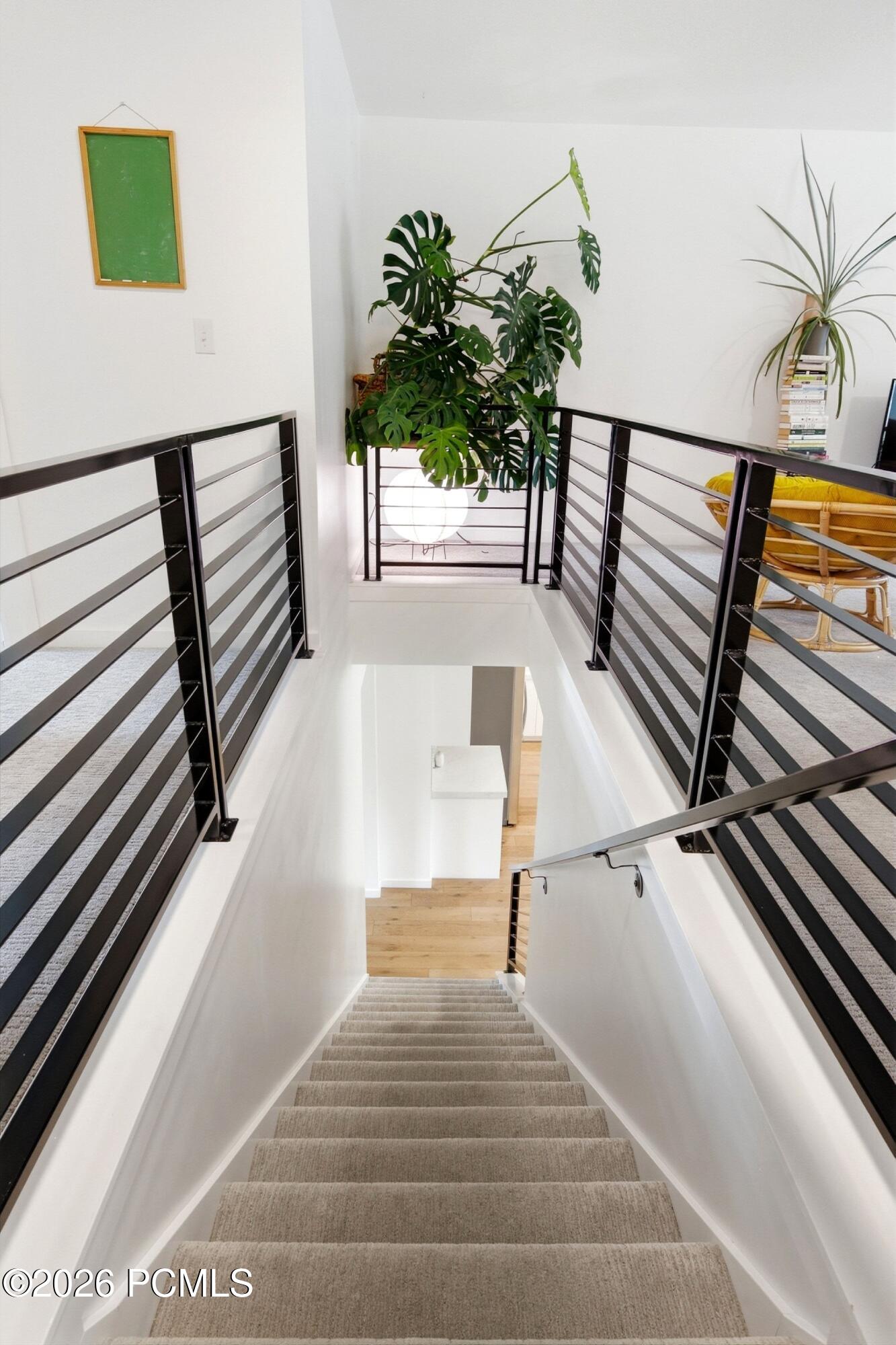 Carpeted staircase with black metal railings and plants on the upper landing.