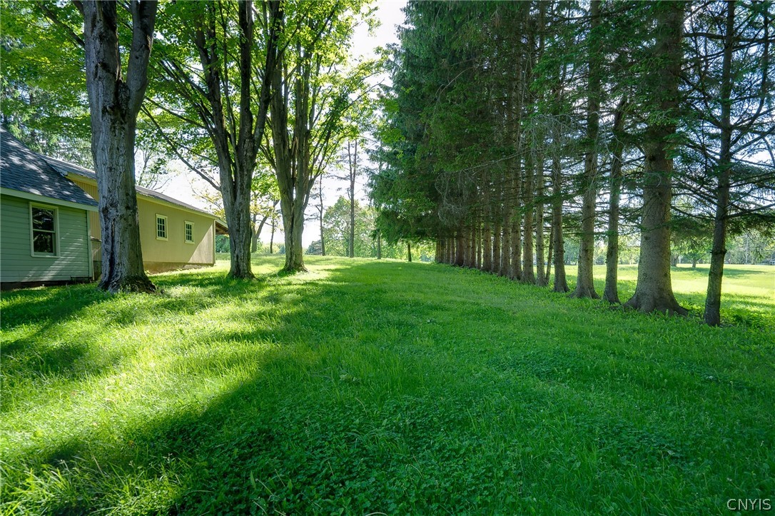 4475 Pompey Center Road