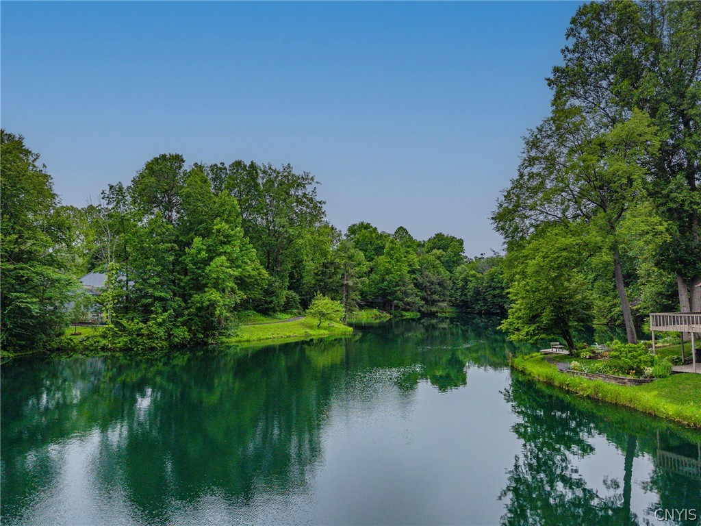 3138 Fiddlehead Glen