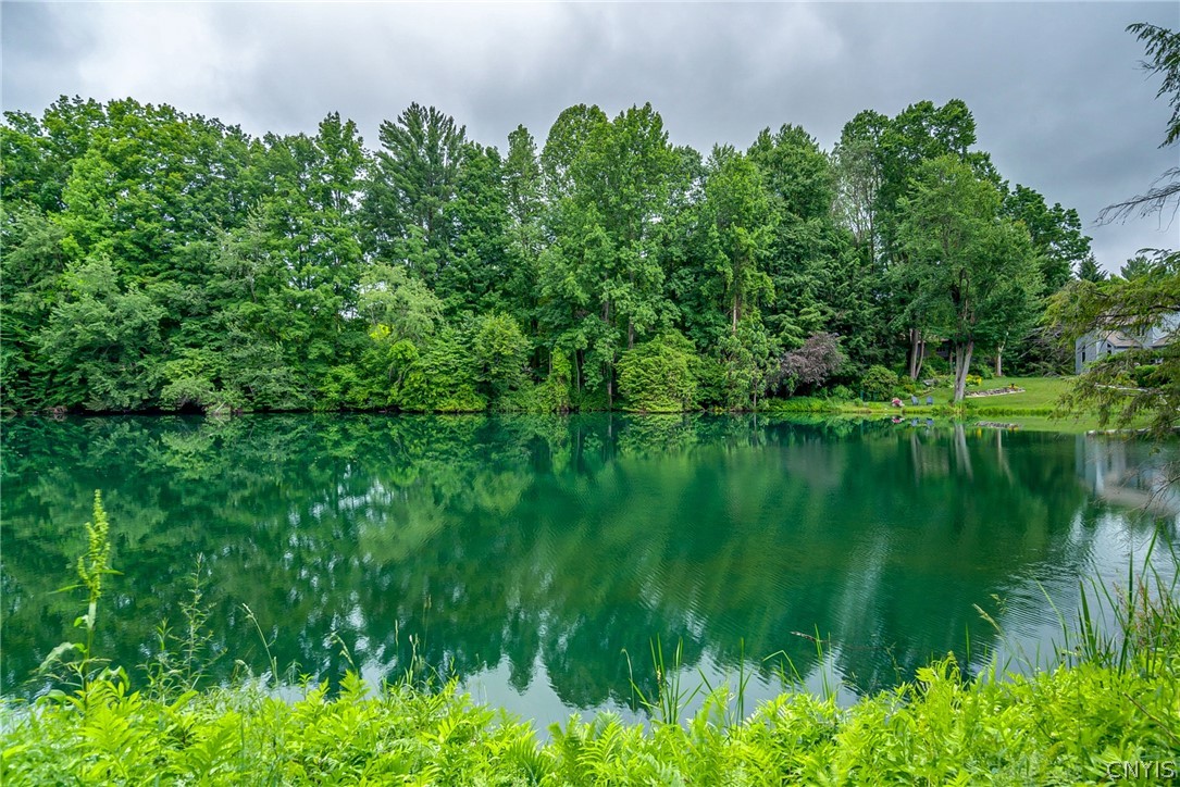 3138 Fiddlehead Glen