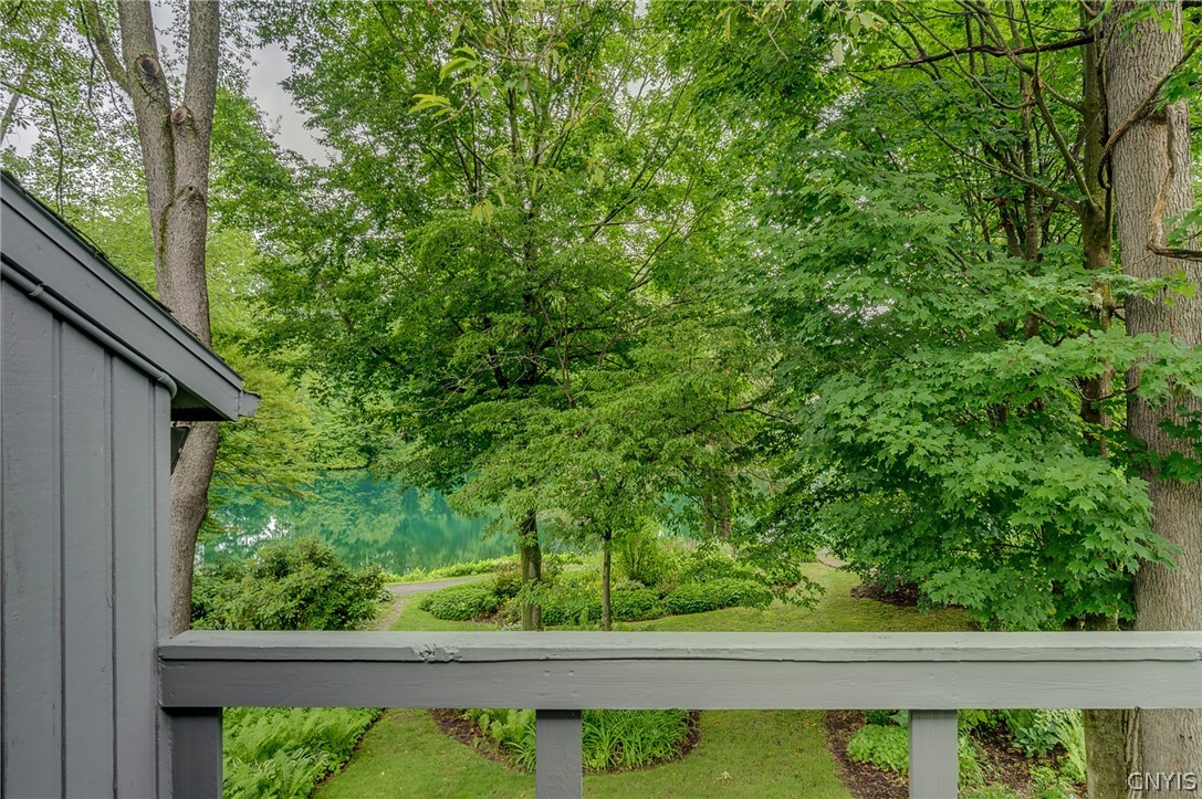 3138 Fiddlehead Glen