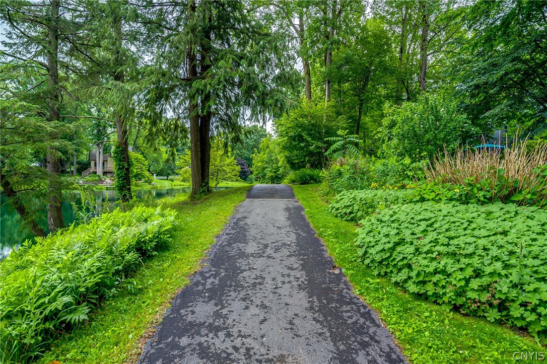 3138 Fiddlehead Glen