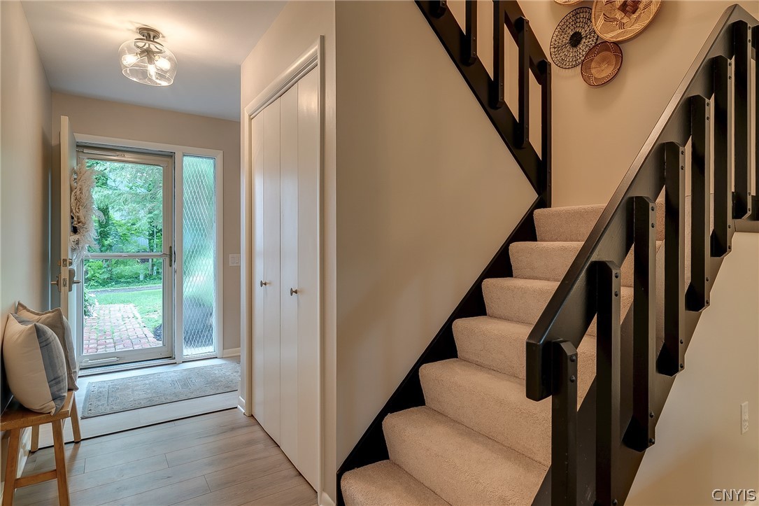 3138 Fiddlehead Glen