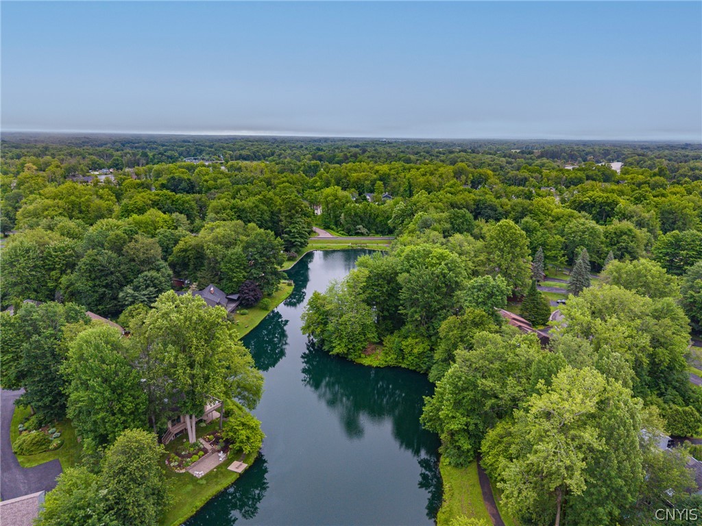 3138 Fiddlehead Glen