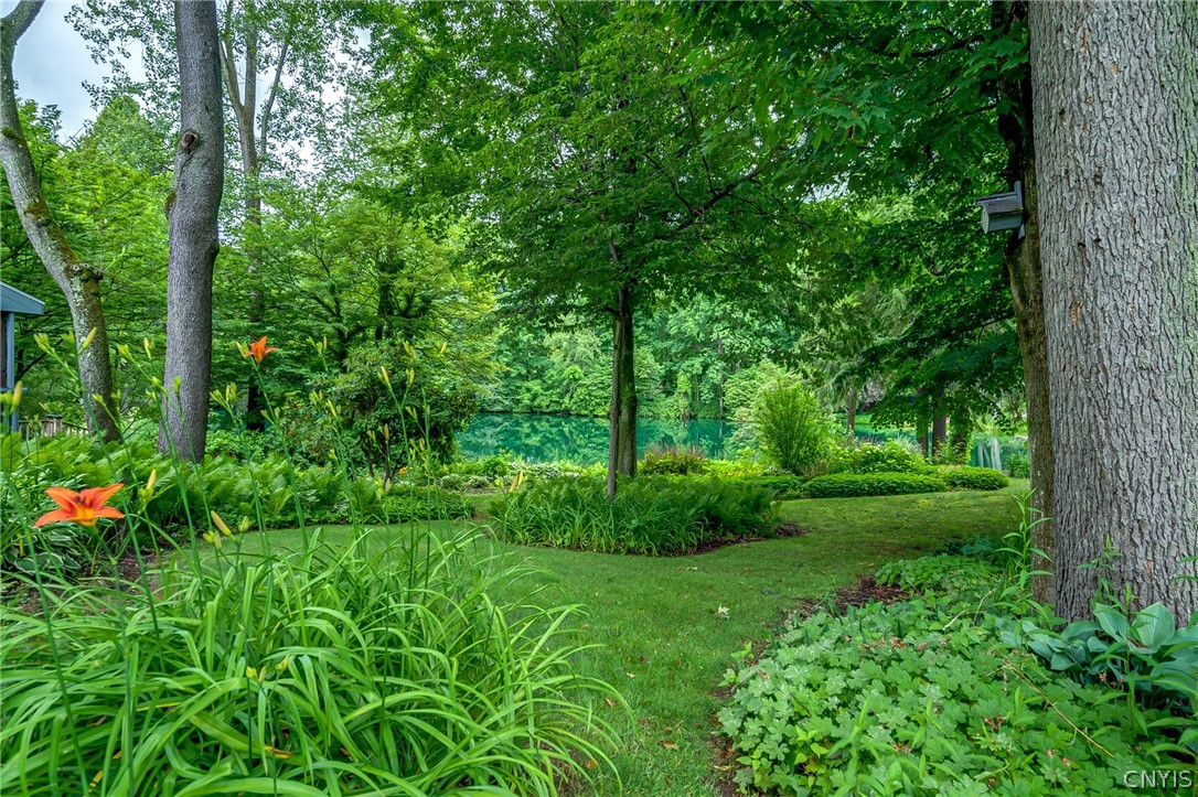 3138 Fiddlehead Glen