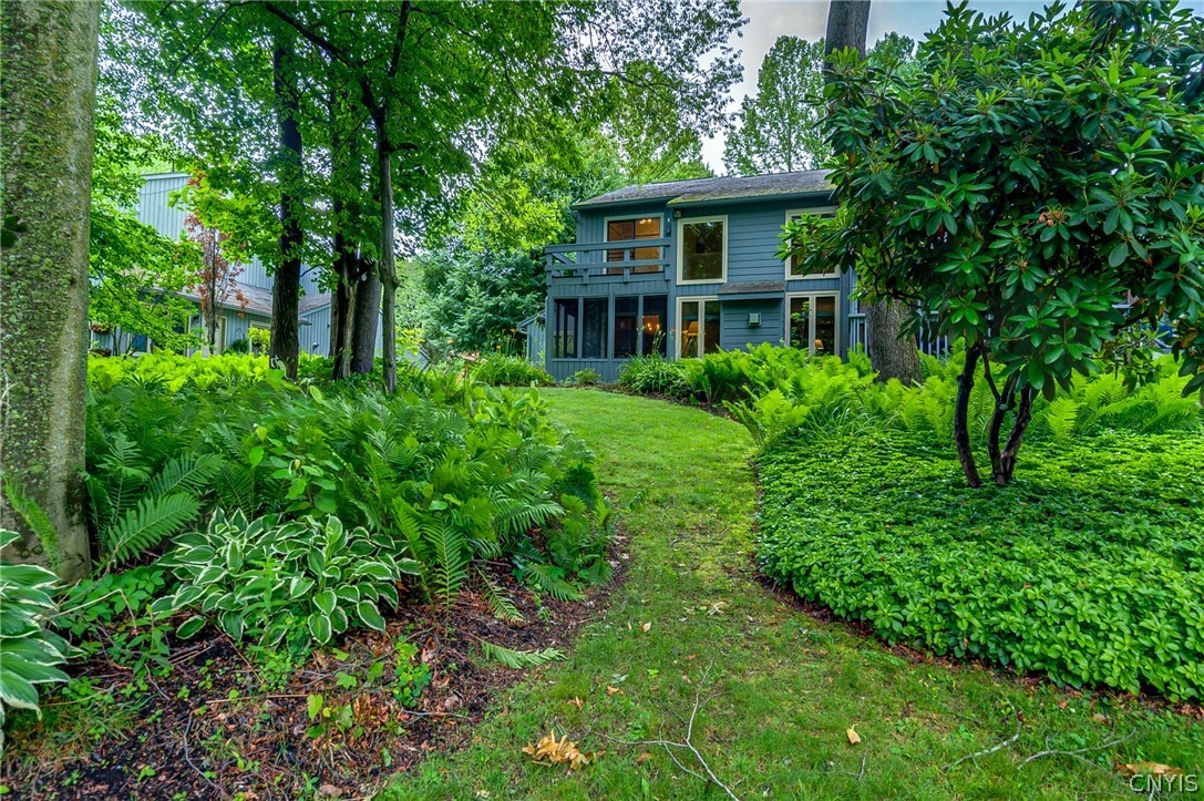 3138 Fiddlehead Glen