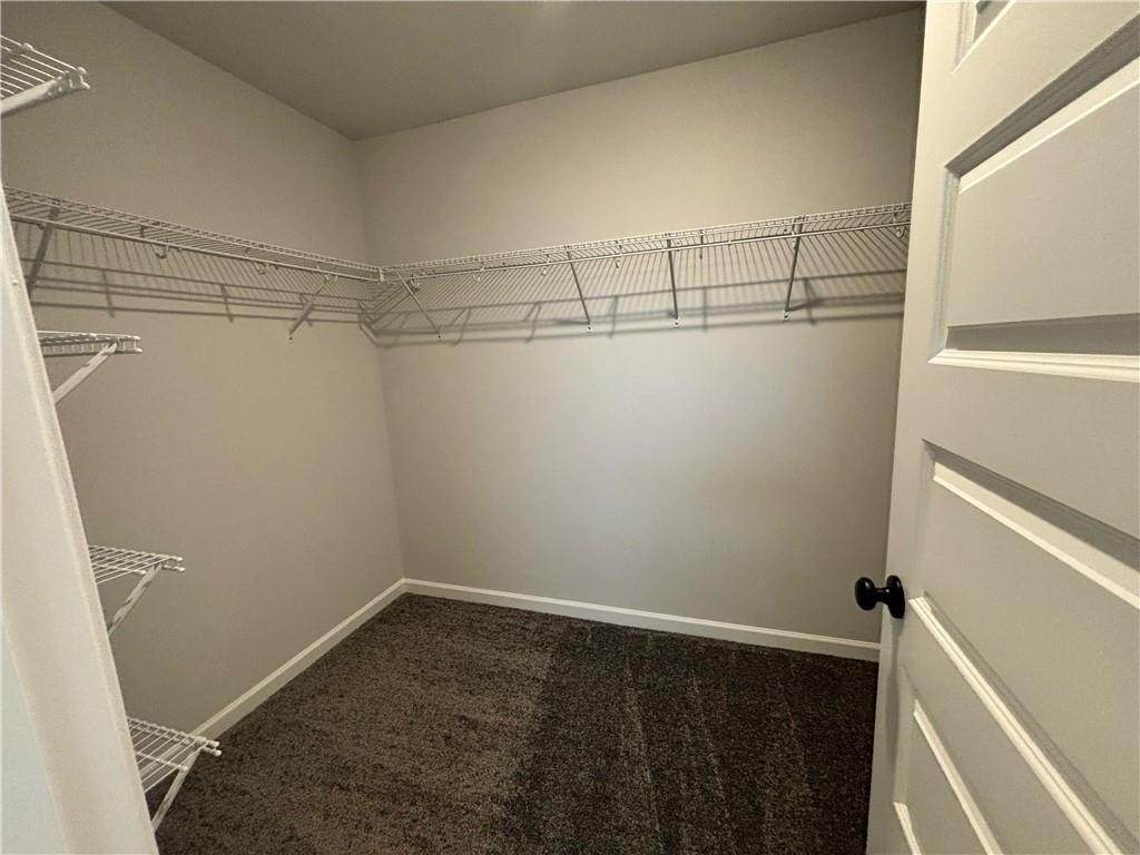 Walk-in closet with wraparound wire shelving and dark carpet.