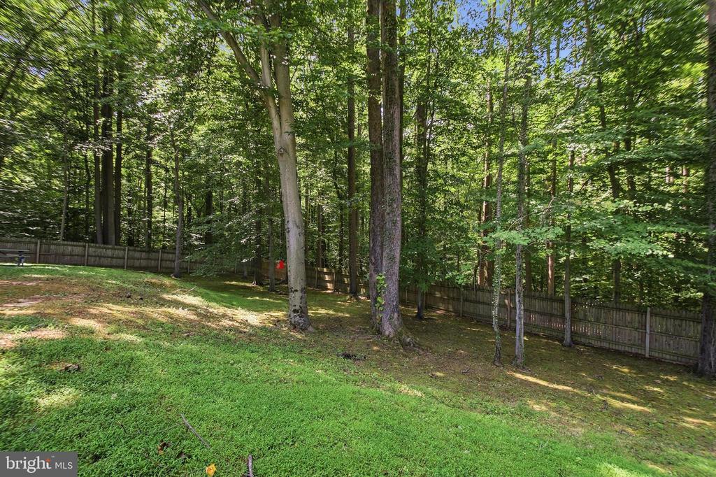 10313 KING RICHARD PLACE