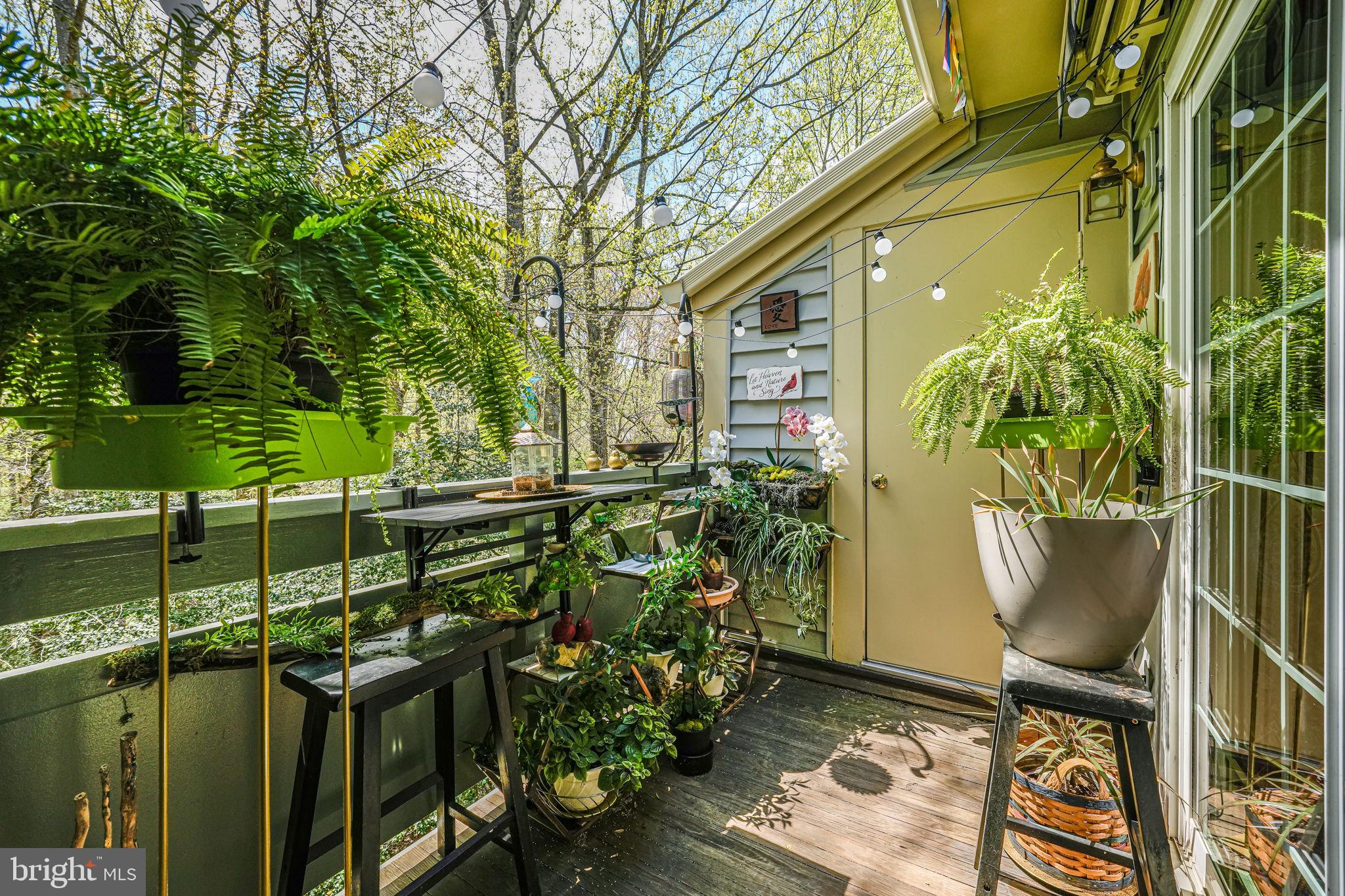 2241 LOVEDALE LANE C 412C