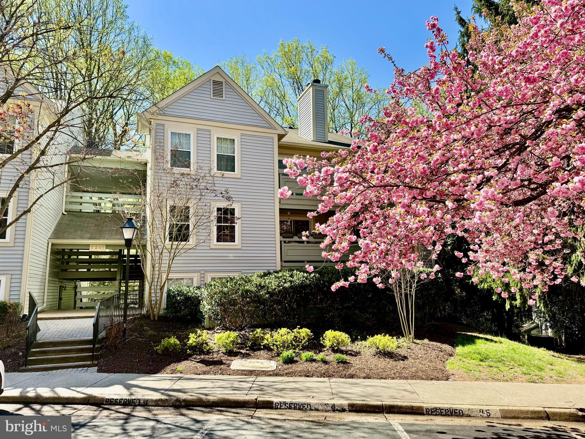 2241 LOVEDALE LANE C 412C