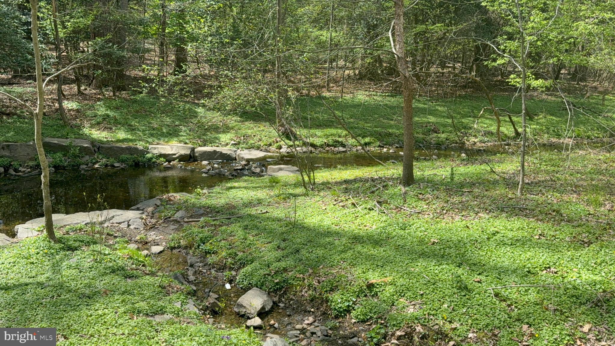 2241 LOVEDALE LANE C 412C