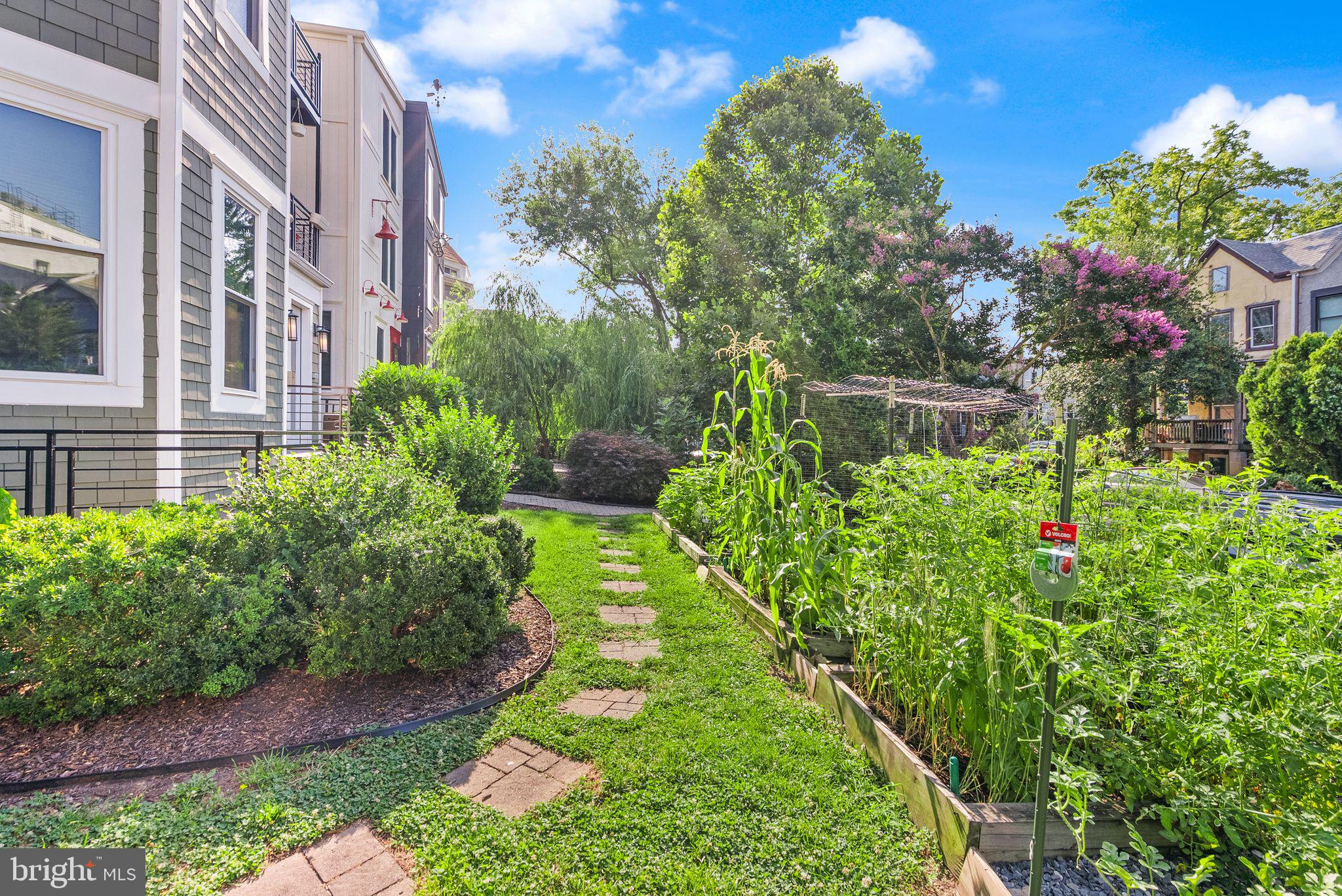 817 VARNUM STREET NW 3