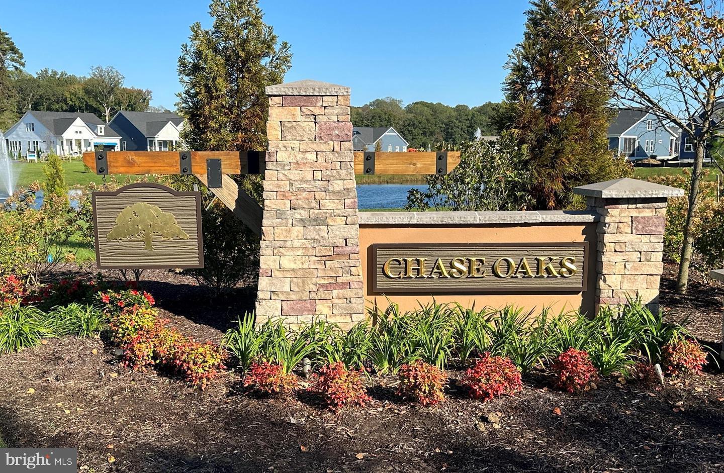 30019 CHASE OAKS DRIVE