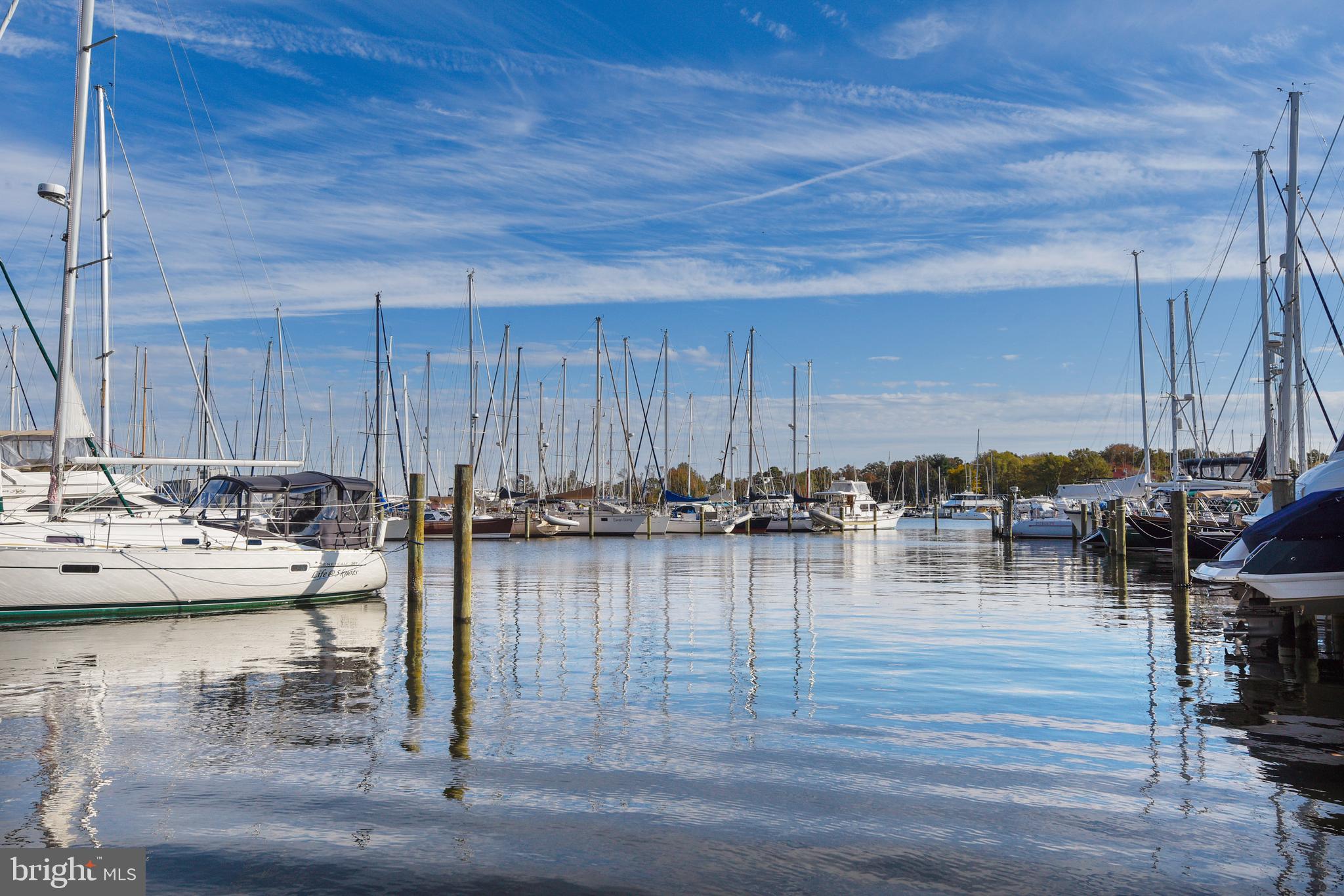 312 SEVERN AVENUE W405