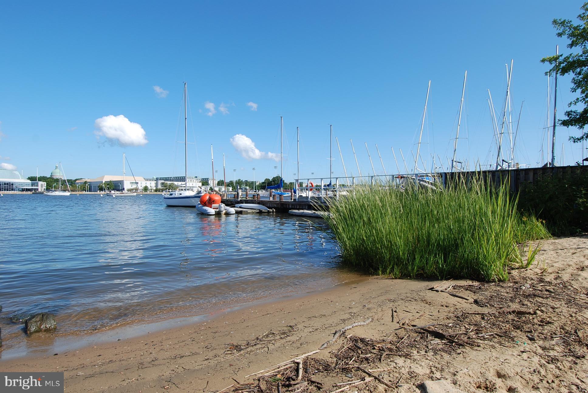 312 SEVERN AVENUE W405