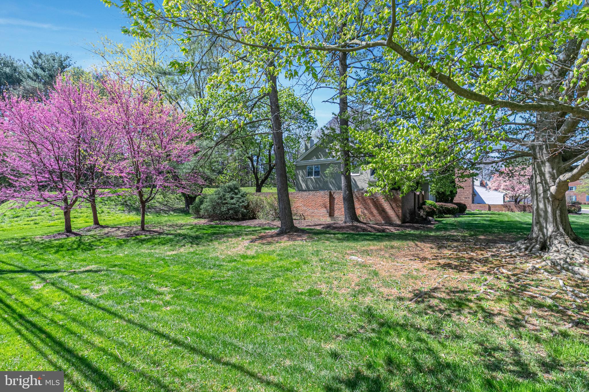 10210 DEMOCRACY LANE