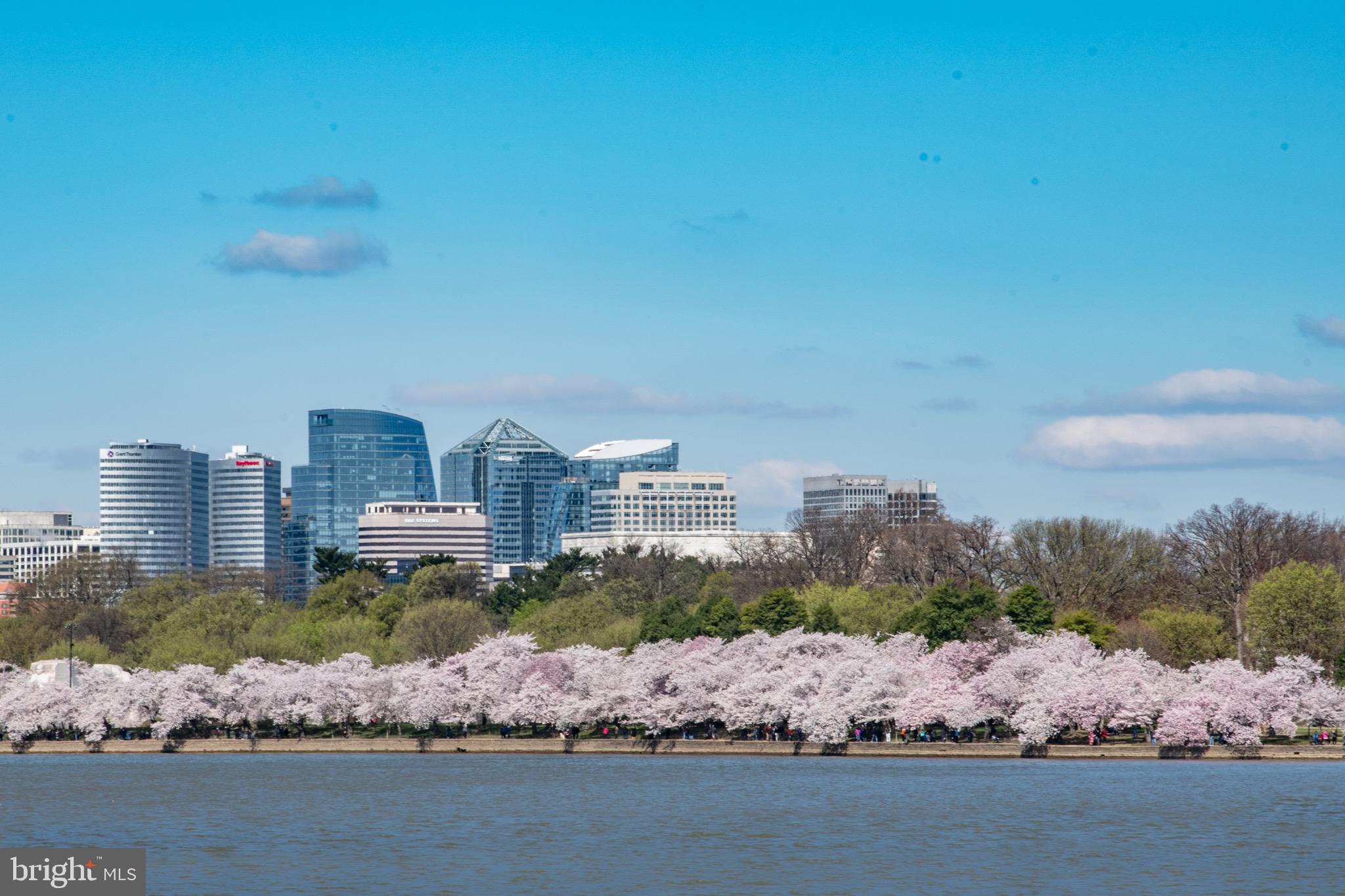 1111 19TH STREET N 2101