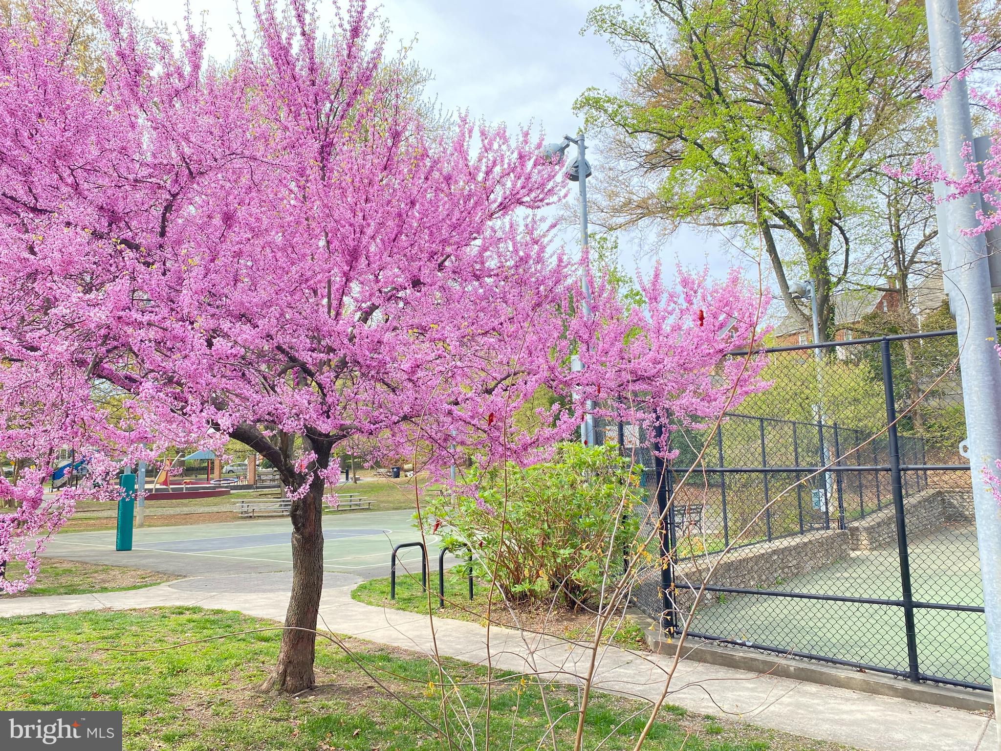 1881 N HIGHLAND STREET