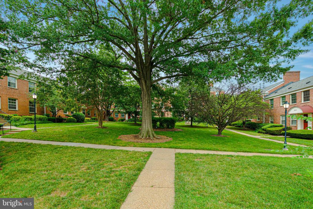 2807 ARLINGTON BOULEVARD 301