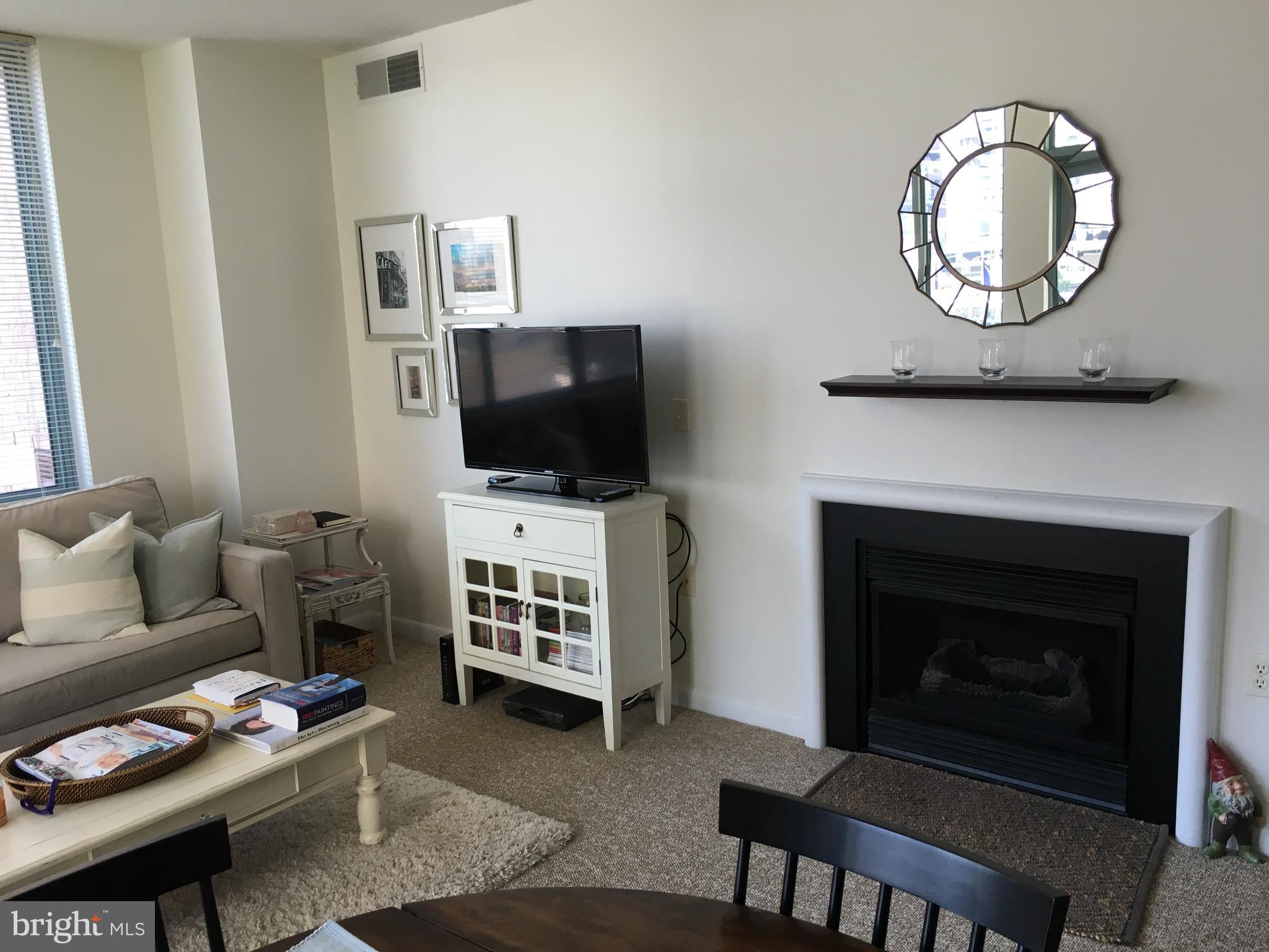 851 N GLEBE ROAD 419