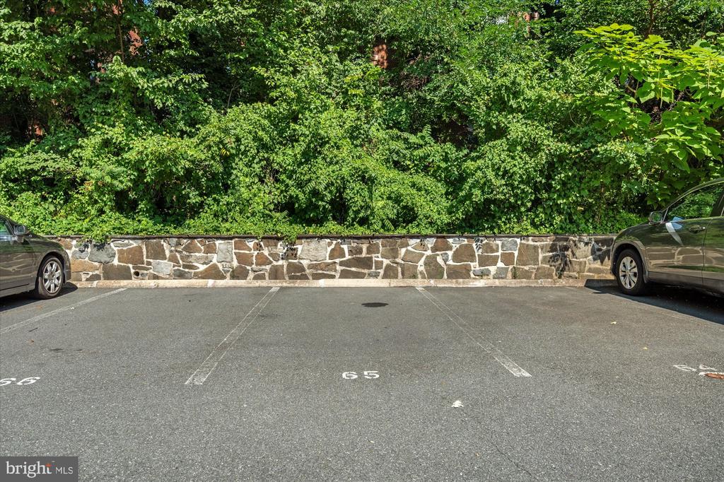 1730 ARLINGTON BOULEVARD Unit: 4