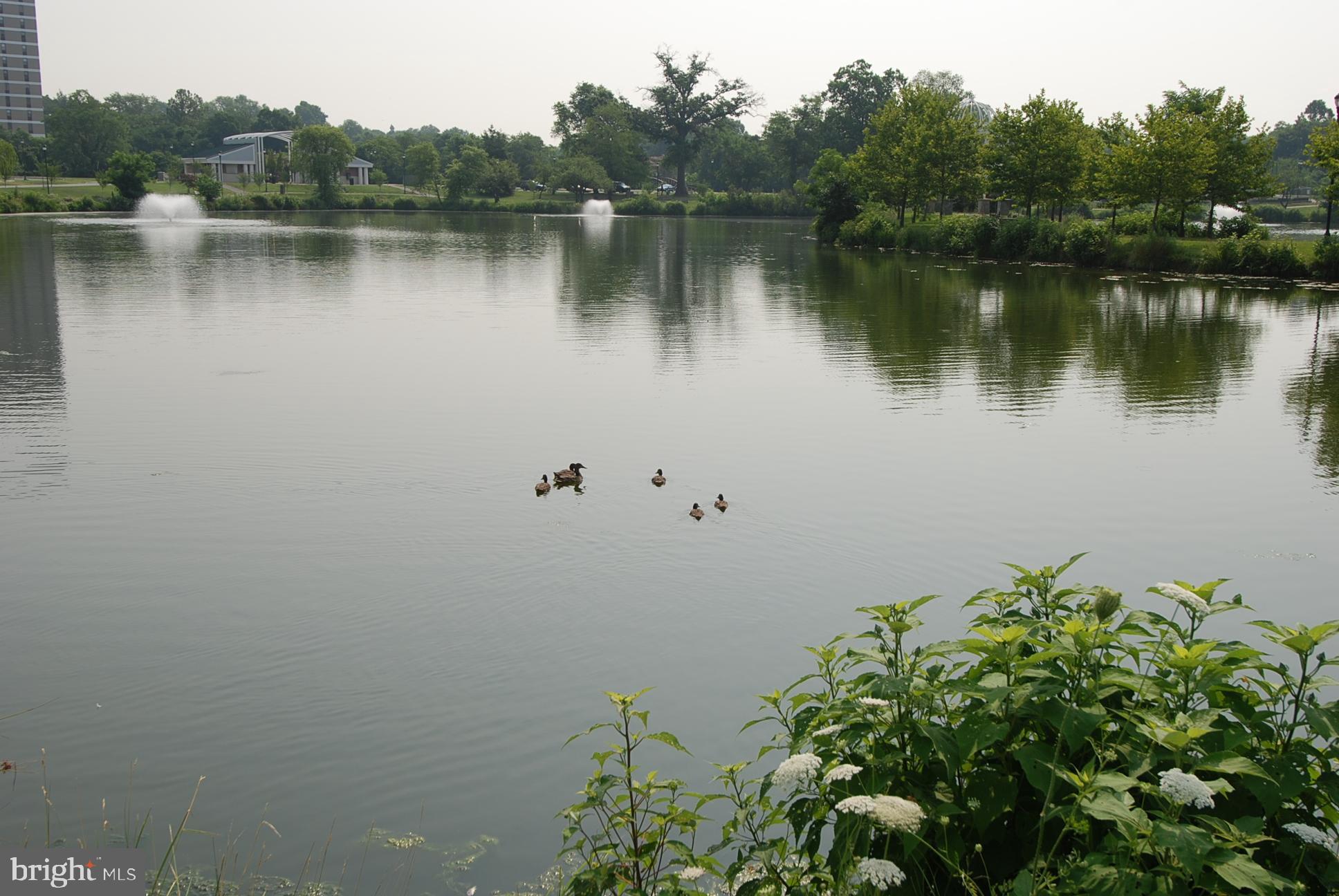 256 CAMERON STATION BOULEVARD