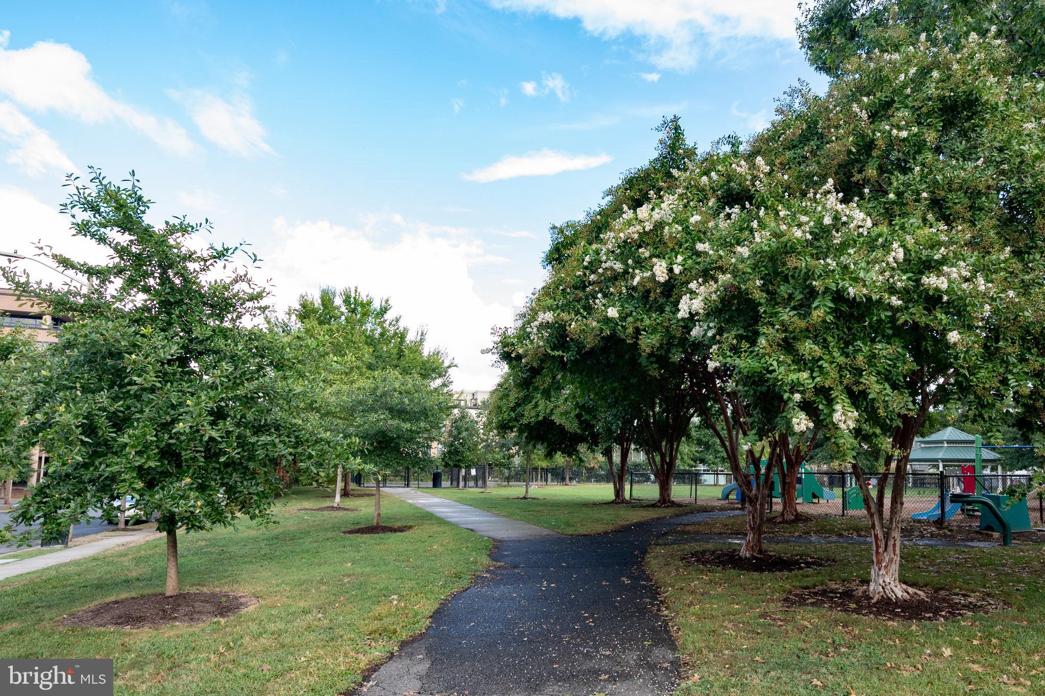 1023 N ROYAL STREET 109