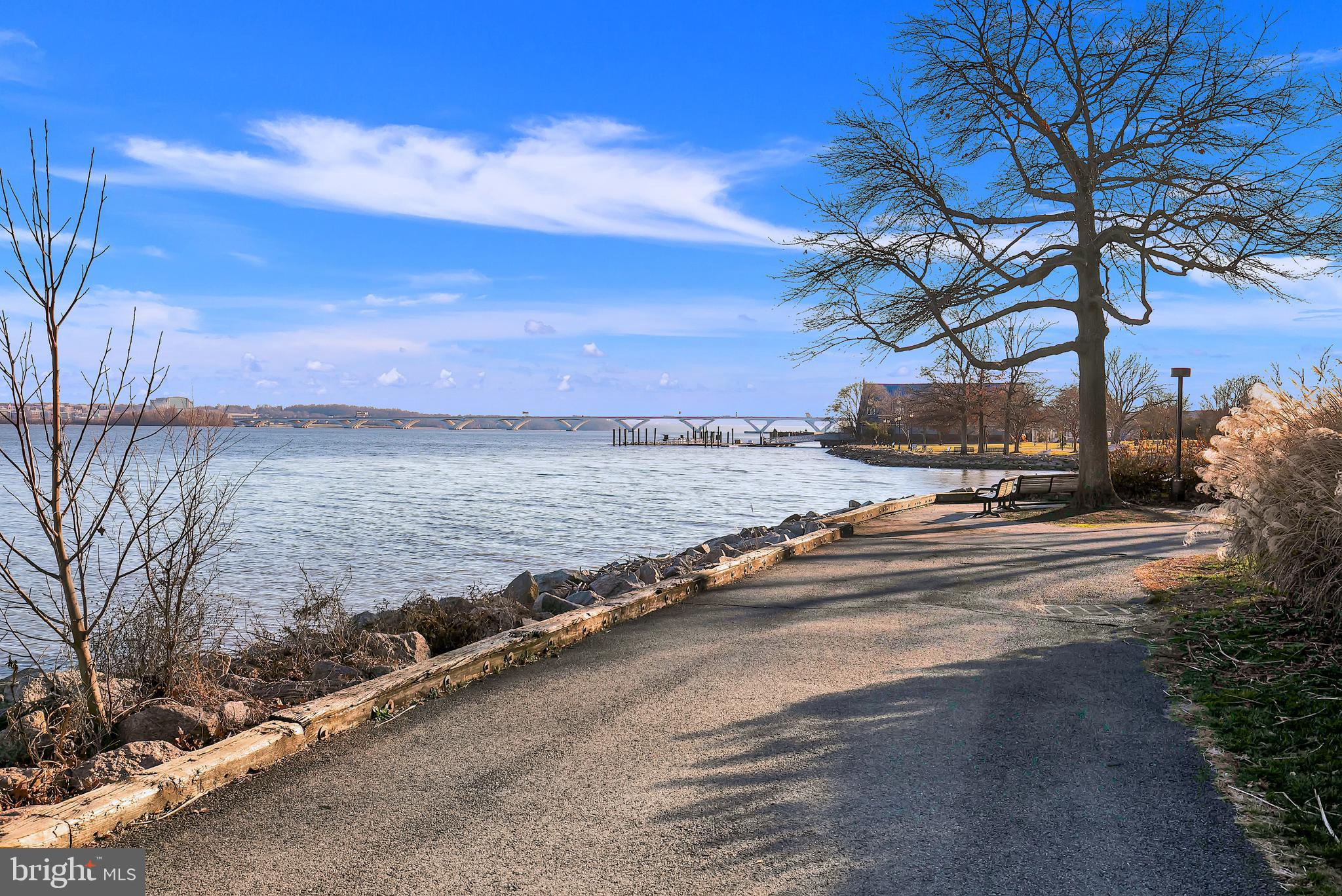 1023 N ROYAL STREET N 317