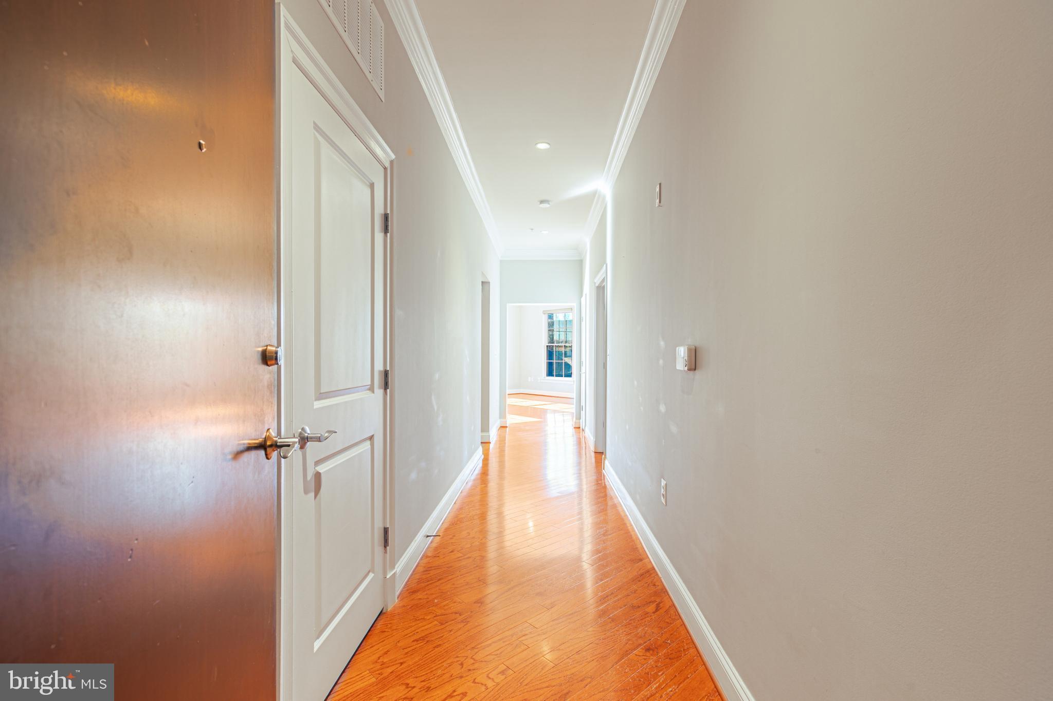 1023 N ROYAL STREET N 317