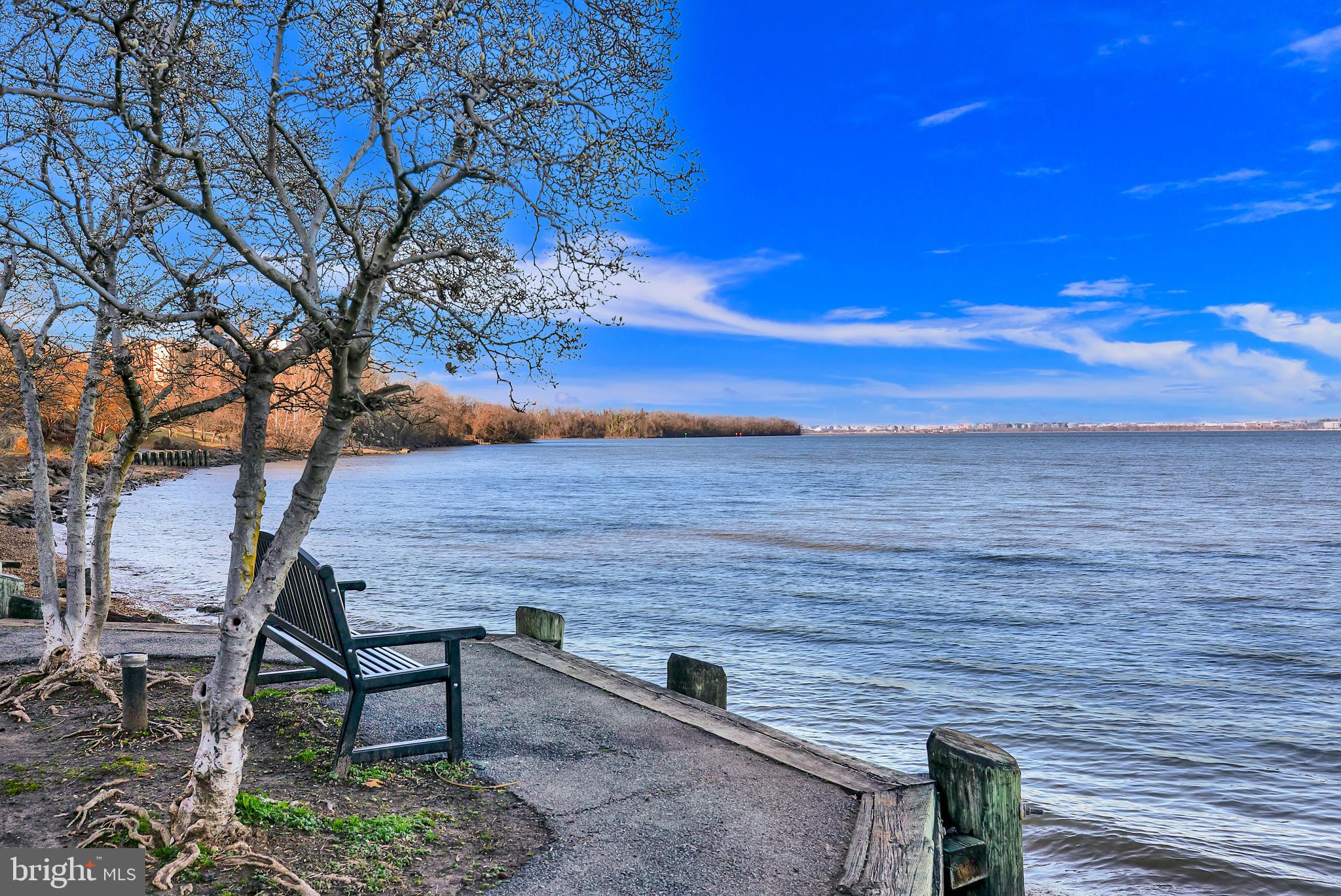 1023 N ROYAL STREET N 317