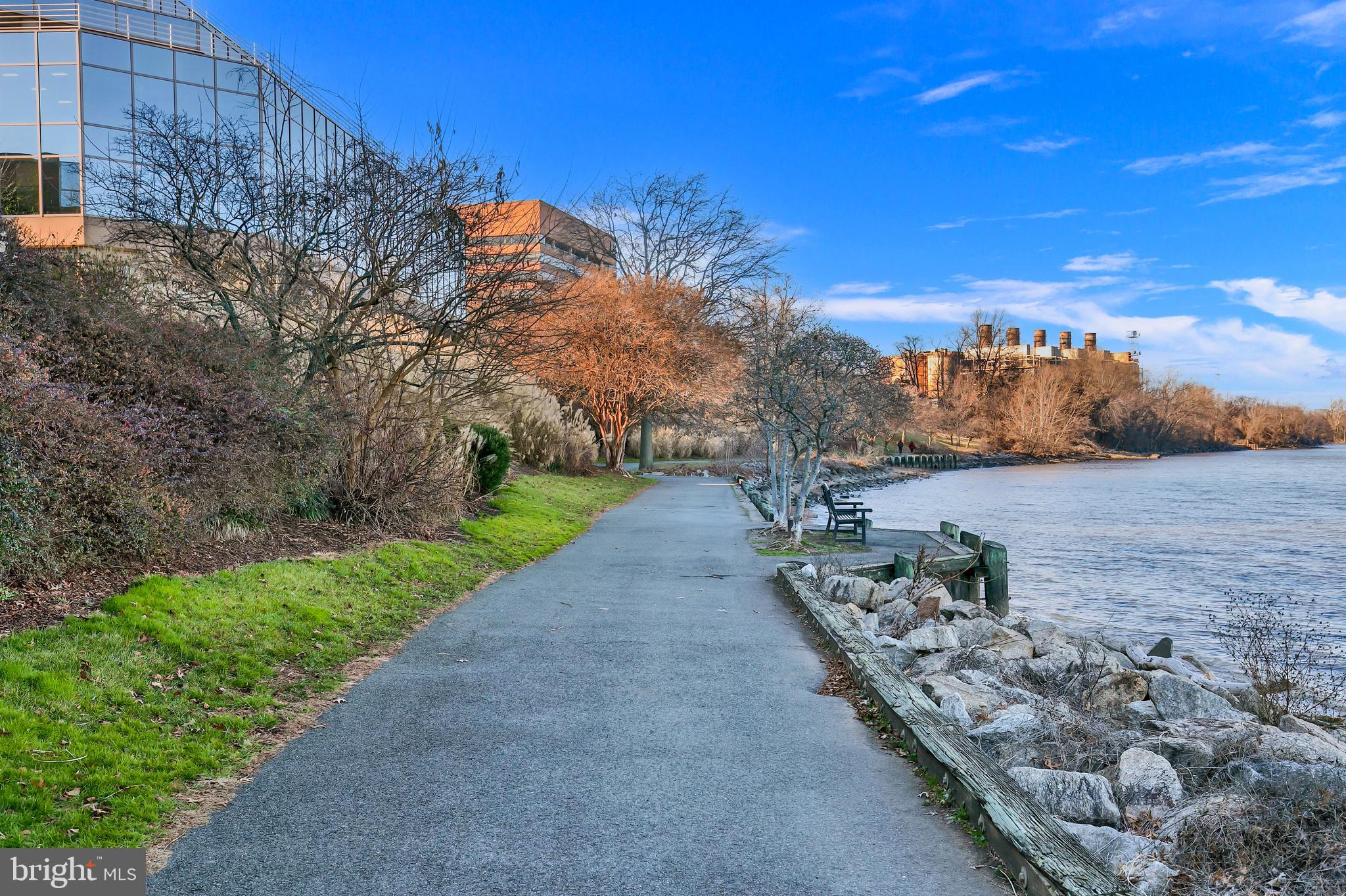 1023 N ROYAL STREET N 317