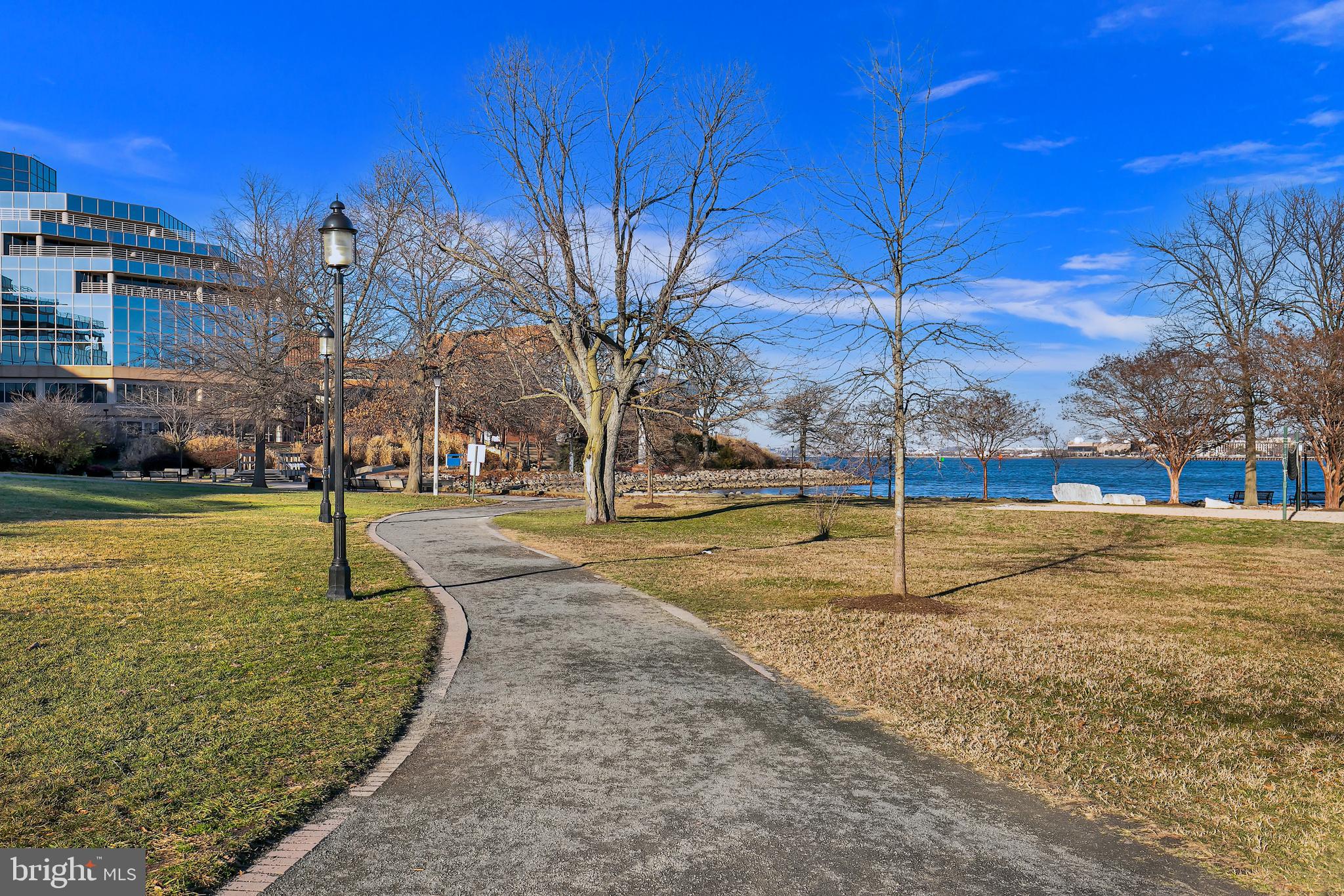 1023 N ROYAL STREET N 317