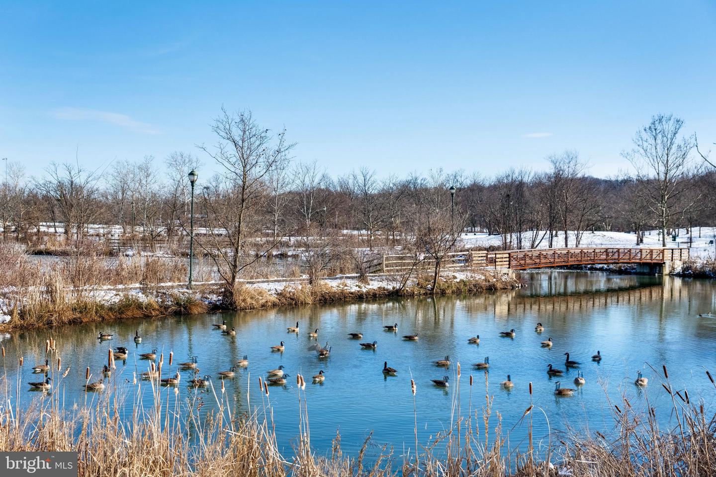 313 Cameron Station Blvd #103