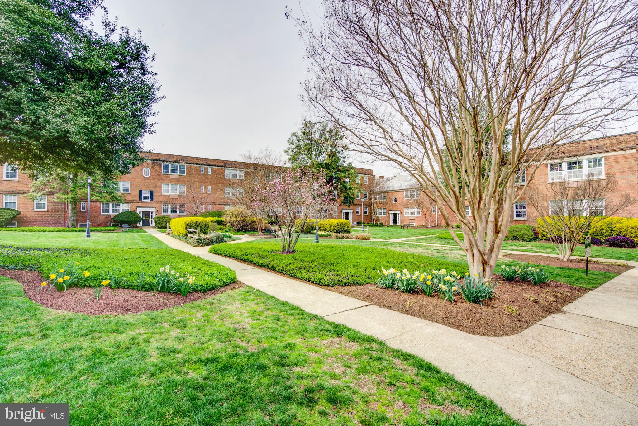 1804 W ABINGDON DRIVE 101