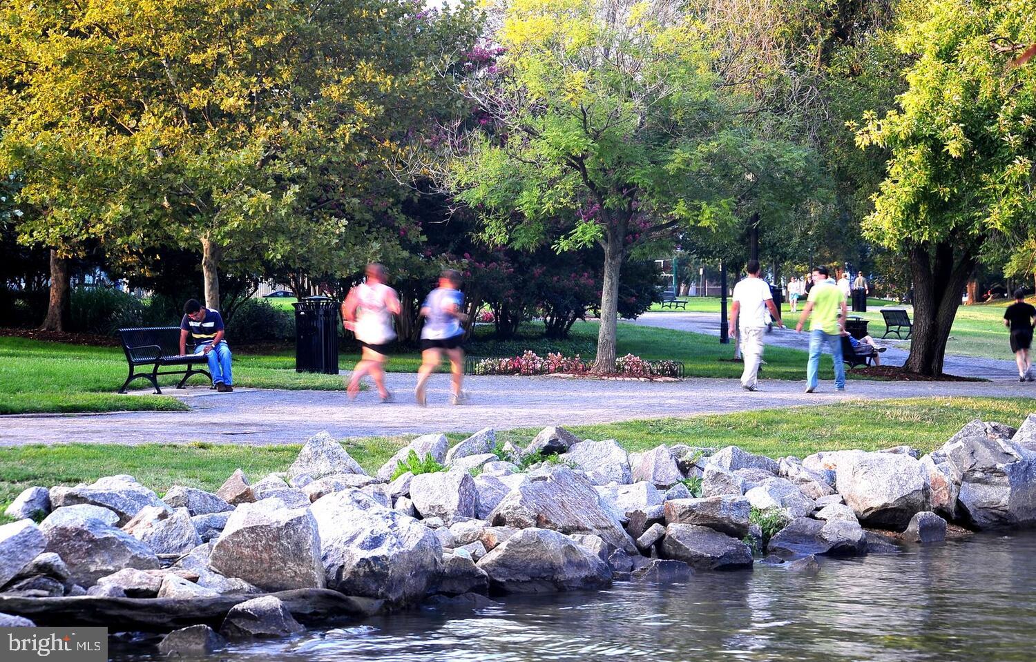 225 STRAND STREET 501