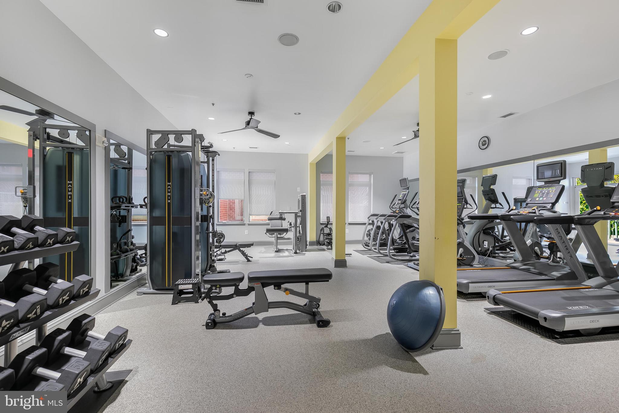 309 HOLLAND LANE 135