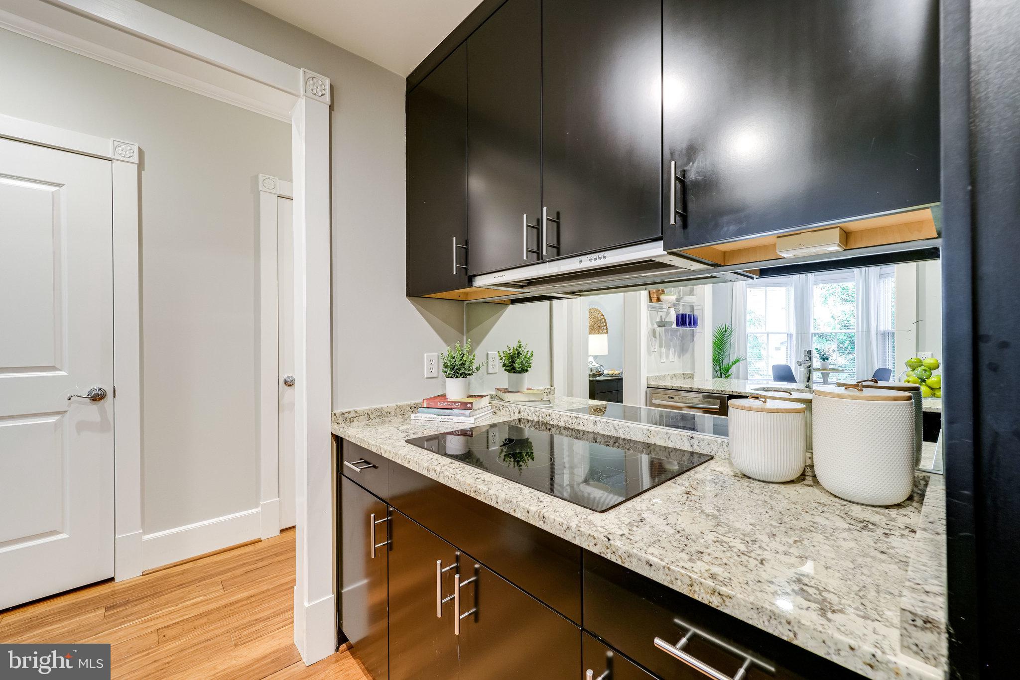 910 POWHATAN STREET 205S