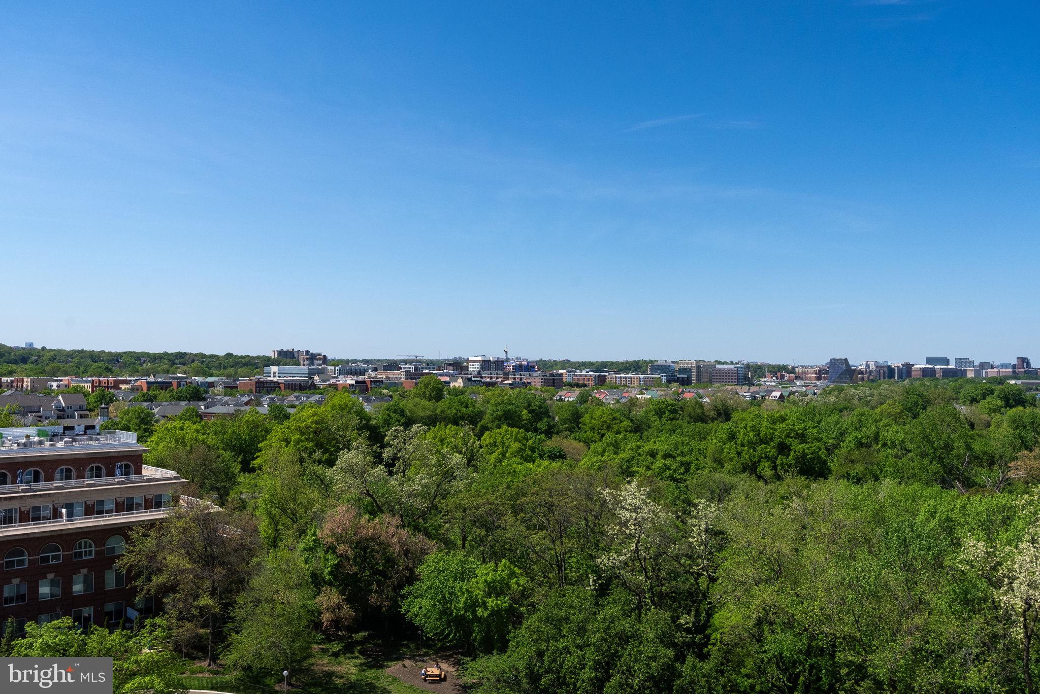 501 SLATERS LANE 1016