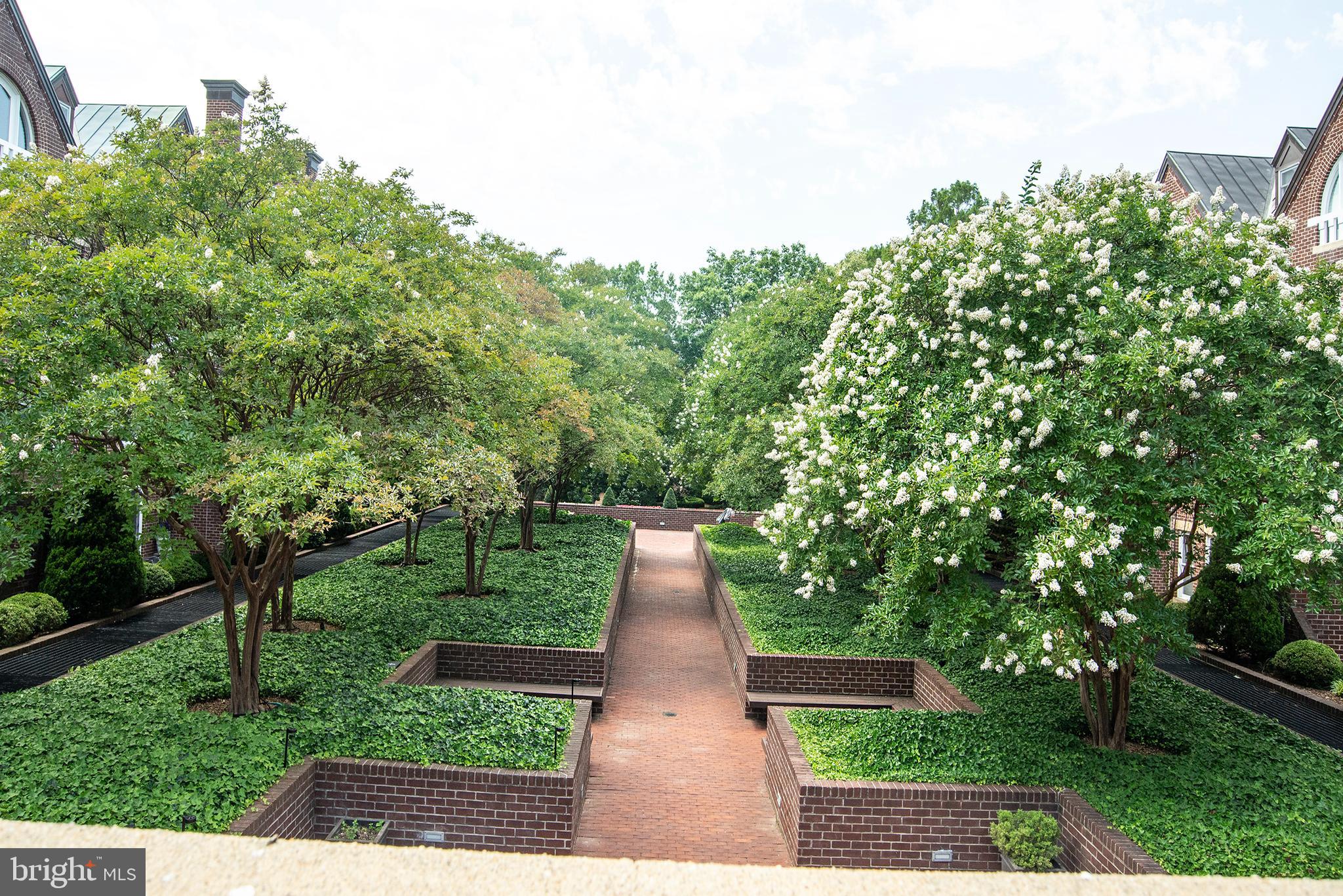 110 CAMERON STREET CS104