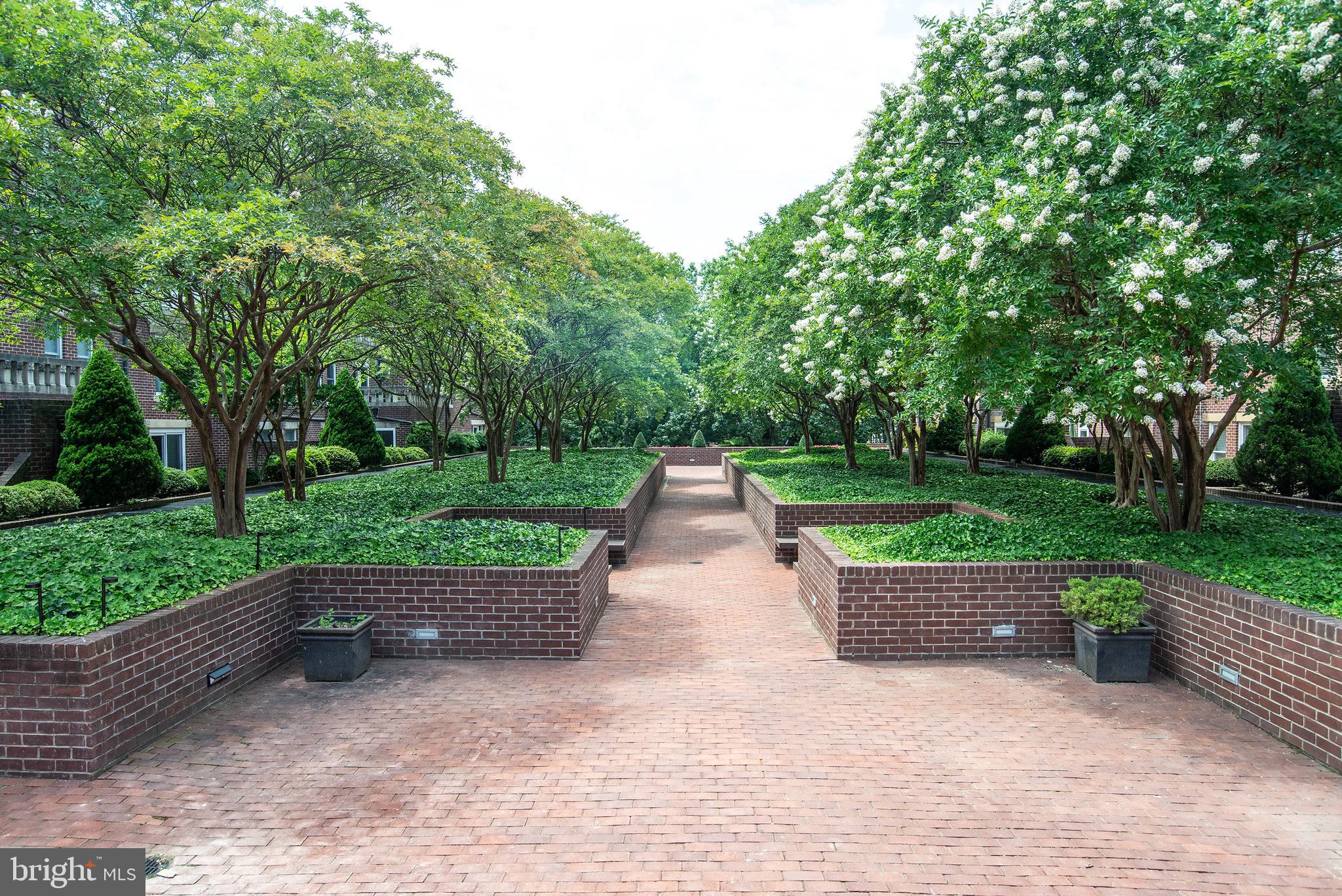 110 CAMERON STREET CS104