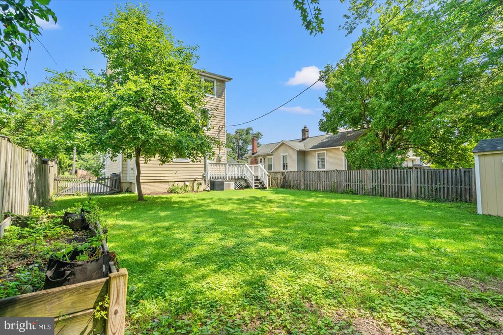 323 CLIFFORD AVENUE